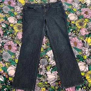 Christopher & Banks Modern Fit jeans